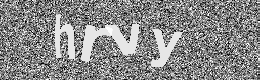 Verification image