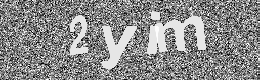 Verification image
