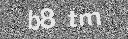 Verification image