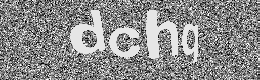 Verification image