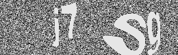 Verification image
