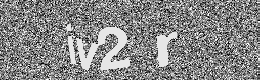 Verification image