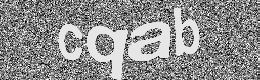 Verification image