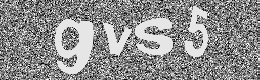 Verification image