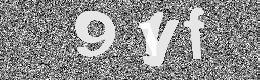 Verification image
