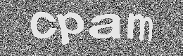 Verification image