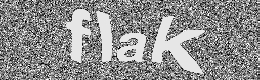 Verification image