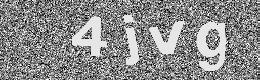 Verification image