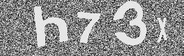 Verification image