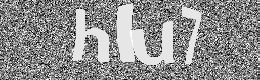 Verification image
