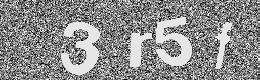 Verification image