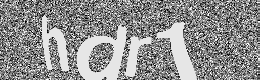 Verification image