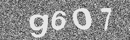 Verification image