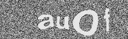 Verification image