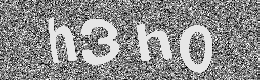 Verification image