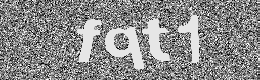 Verification image