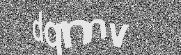 Verification image