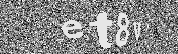 Verification image