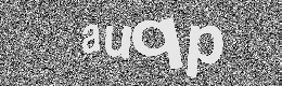 Verification image