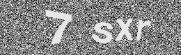 Verification image
