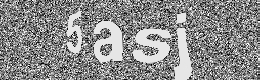 Verification image