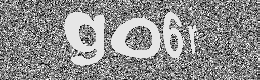 Verification image